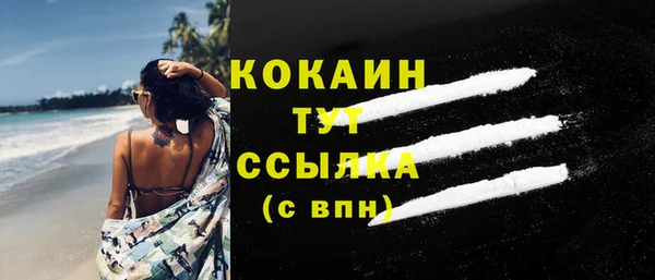 амф Верхний Тагил