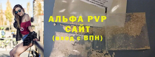 амф Верхний Тагил