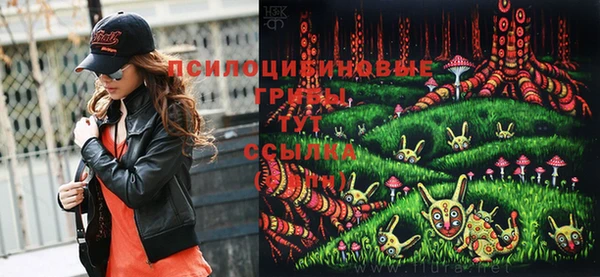 амф Верхний Тагил