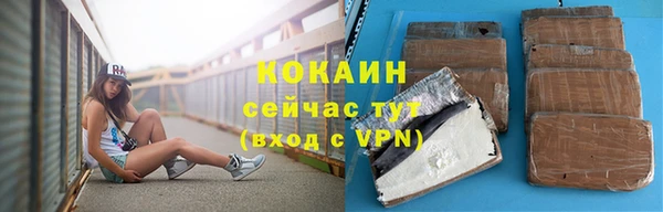 амф Верхний Тагил