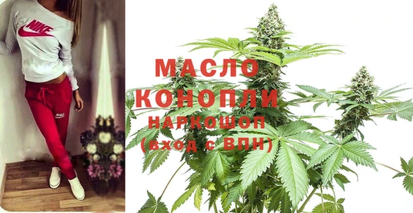 амф Верхний Тагил