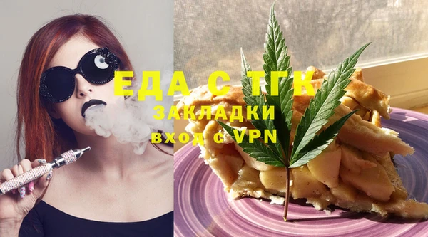 амф Верхний Тагил