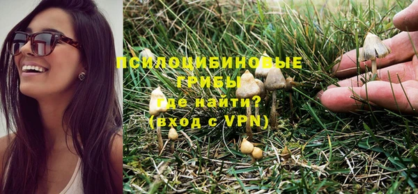 амф Верхний Тагил
