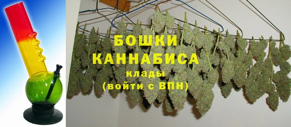 дживик Верея