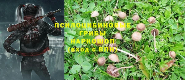 дживик Верея