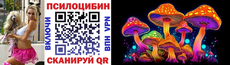 Псилоцибиновые грибы Psilocybine cubensis  Геленджик 